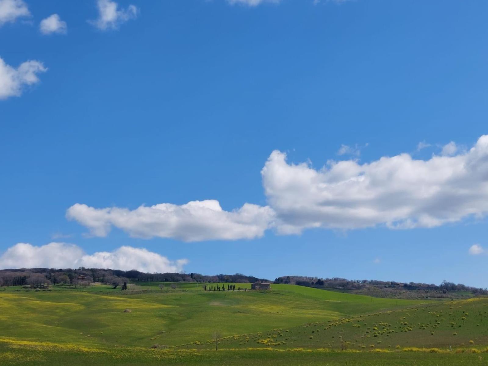 Al Piccolo Ulivo, A Casa Di Mimo&Se Villa Castiglione dʼOrcia Kültér fotó