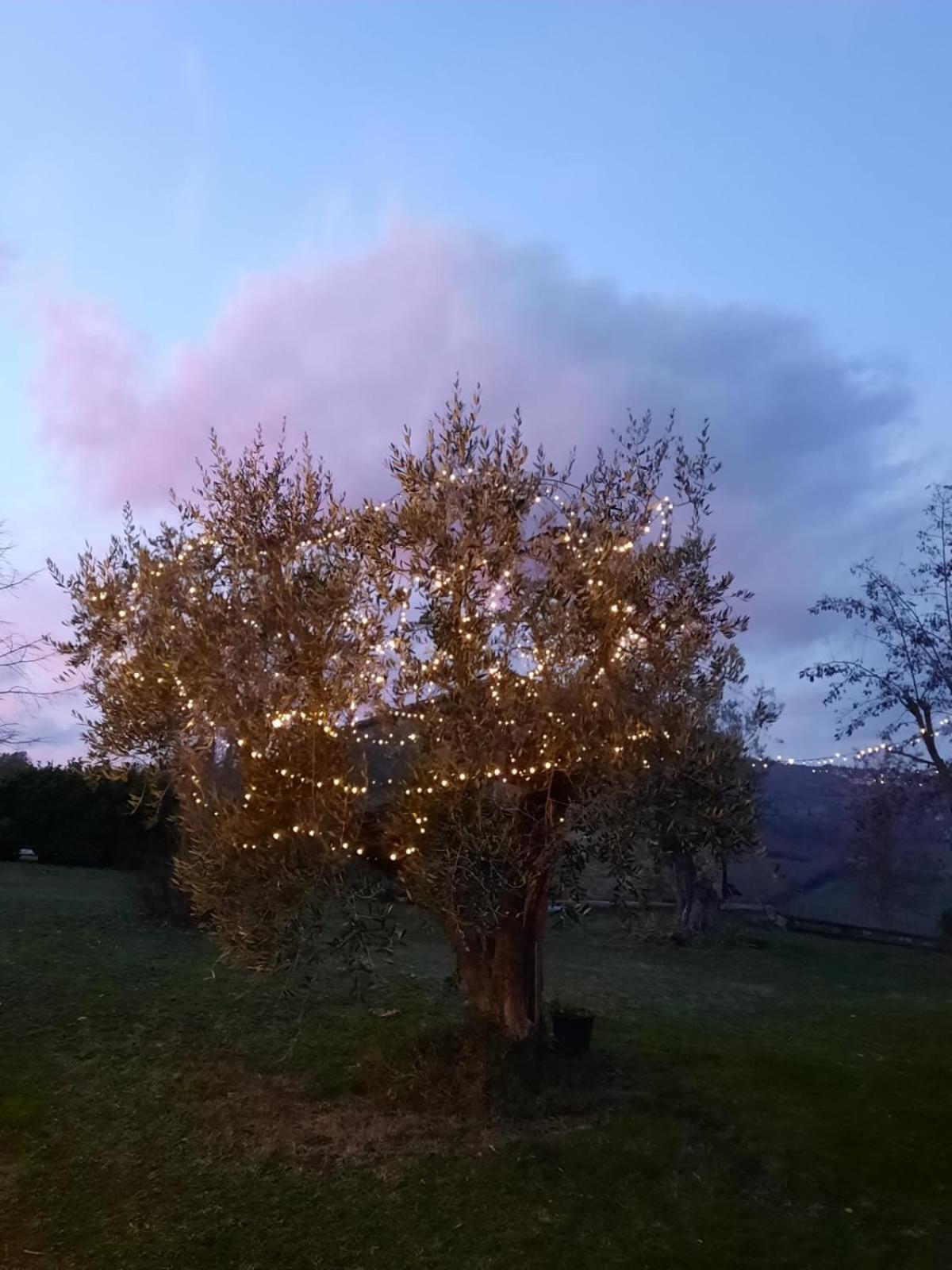 Al Piccolo Ulivo, A Casa Di Mimo&Se Villa Castiglione dʼOrcia Kültér fotó